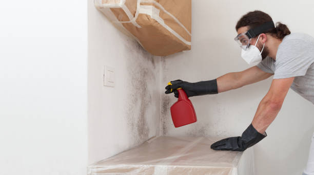 Professional Crawl Space Mold Remediation technician working in Middleville, MI