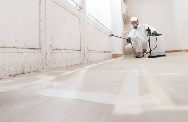 24/7 Emergency Crawl Space Mold Remediation experts in Middleville, MI